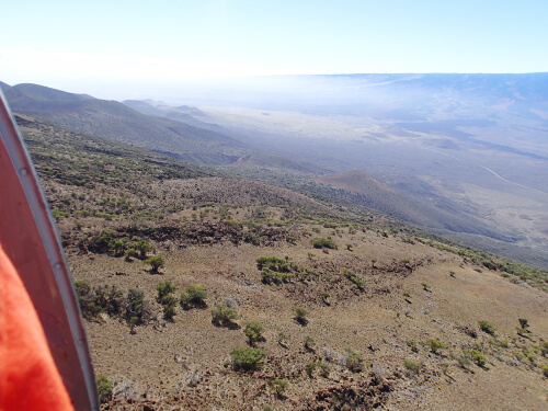 A view of the slopes of Mauna Kea from the air, showing habitat degradation by introduced non-native sheep. Photo by Robert Stevens 