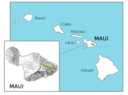 ‘Ākohekohe Map courtesy of “Birds of North America” https://birdsna.org, maintained by the Cornell Lab of Ornithology, Ithaca, NY