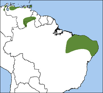 Bearded Bellbird map, NatureServe