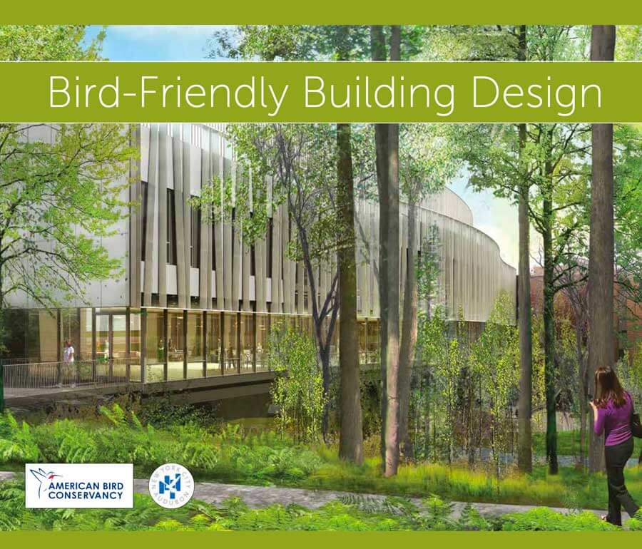 A woman is walking to a building in the woods. Text says Bird-Friendly Building Design.