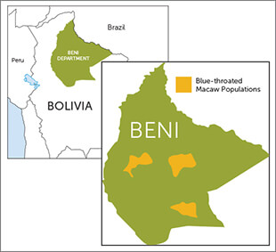 Blue-throated Macaw range map, ABC