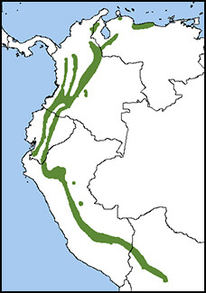 Booted Racket-tail map, NatureServe