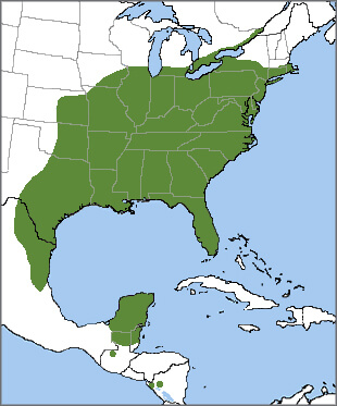 Carolina Wren range map, NatureServe