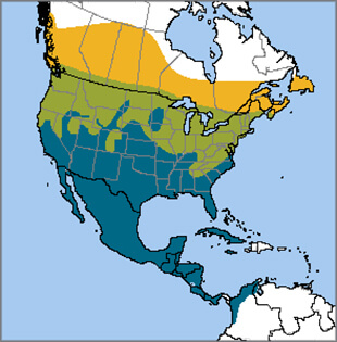 Cedar Waxwing map, NatureServe