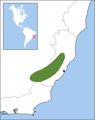 Cherry-throated Tanager map, NatureServe