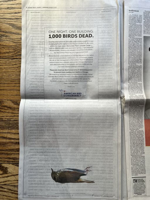 American Bird Conservancy ran a PSA in the Chicago Tribune print newspaper on October 10th, 2023 to draw attention to the tragic bird event that occurred and the overall threat of collisions. 