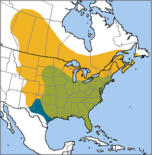 Common Grackle range map, NatureServe