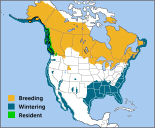 Common Loon range map, ABC