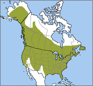 Downy Woodpecker range map, NatureServe