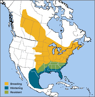 Eastern Phoebe range map by ABC