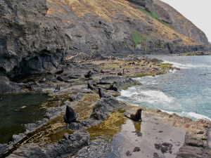 Fig 1 (left) Santa Clara landing