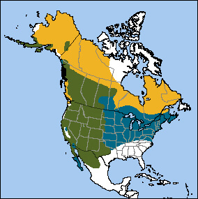 Golden Eagle map, NatureServe