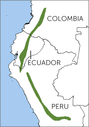 Grey-breasted Mountain-Toucan map, NatureServe