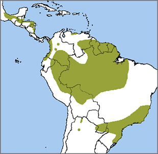 Harpy Eagle map, NatureServe