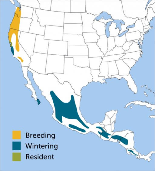 Hermit Warbler range map by ABC