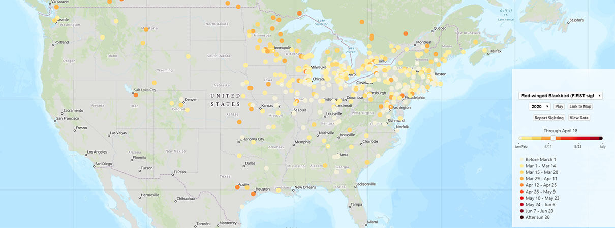 Map of JVs working with ABC to improve bird habitat management.