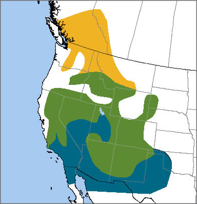 Lewis's Woodpecker map, NatureServe