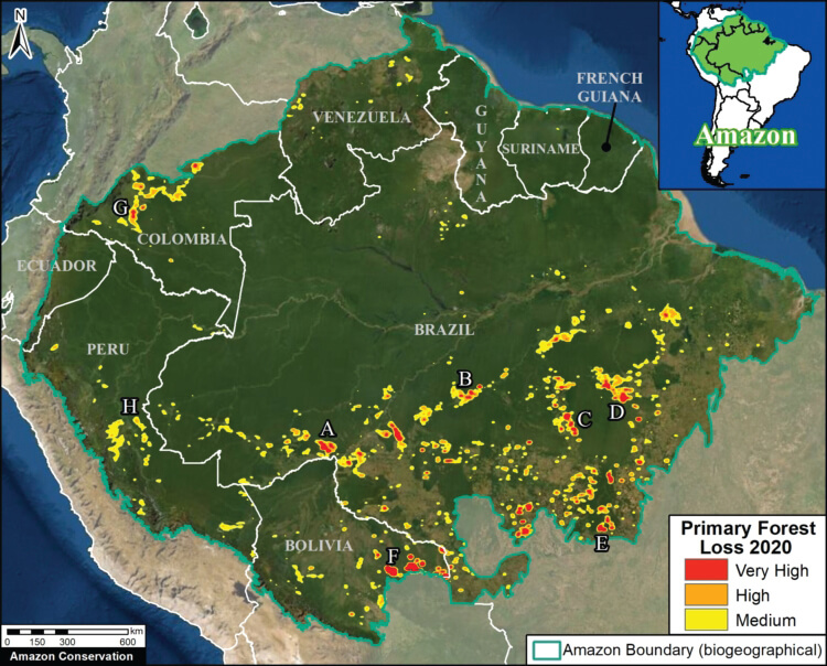 Forest Loss in Amazonia