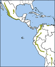 Military Macaw map, NatureServe