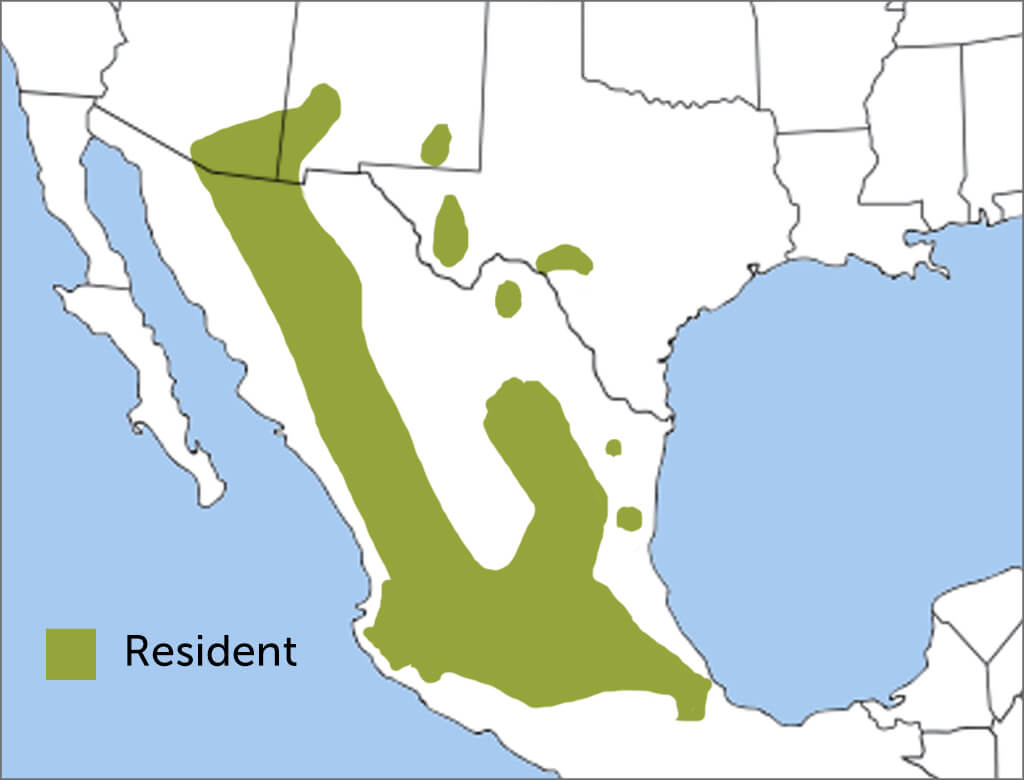 Montezuma Quail range map by ABC.