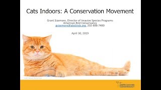 Cats Indoors: A Conservation Movement