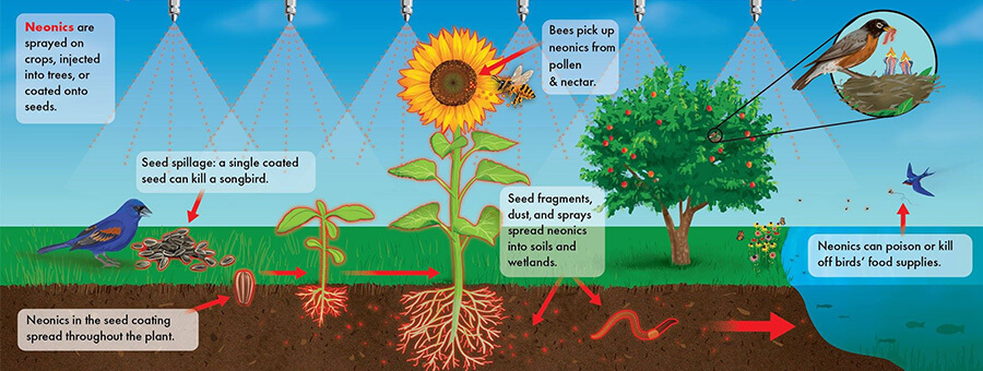 neonics diagram