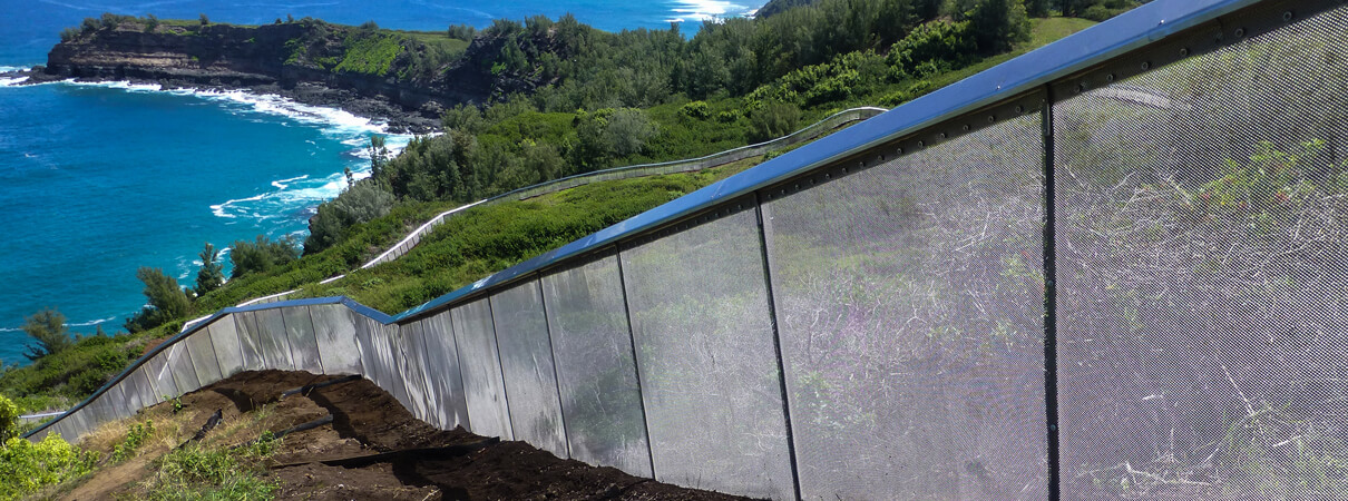 Predator-proof fence at Nihoku by Jessica Behnke