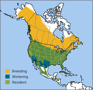 Northern Flicker range map