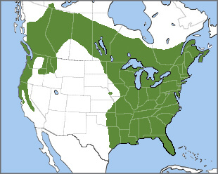 Pileated Woodpecker range map, Birds of the World