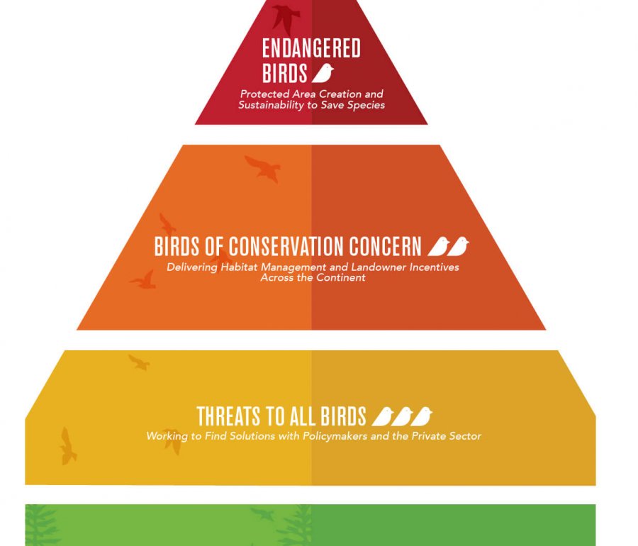 Conservation Scorecard