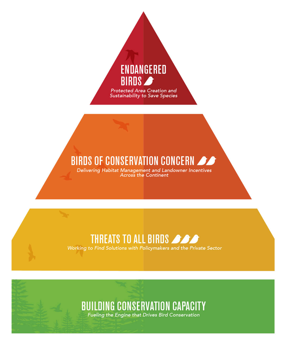 American Bird Conservancy's strategic framework