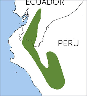 Rainbow Starfrontlet map, NatureServe