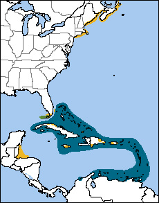 Roseate Tern map, NatureServe