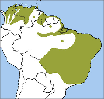 Ruby-Topaz Hummingbird map, NatureServe