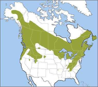 Ruffed Grouse range map by ABC