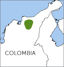 Santa Marta Bush-Tyrant map, NatureServe