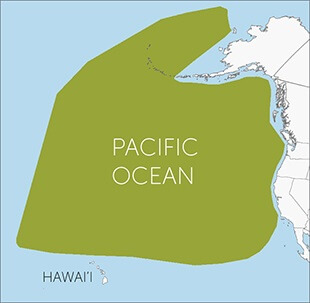 Short-tailed Albatross map courtesy of “Birds of North America” https://birdsna.org, maintained by the Cornell Lab of Ornithology, Ithaca, NY