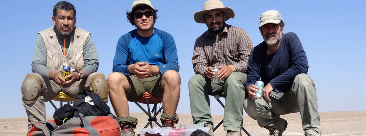 Members of the ROC Markham's Storm-Petrel research team during the field trip to Arica, August 2016. From left to right: Ronny Peredo, Fernando Medrano, Fernando Díaz, and Rodrigo Barros. Photo by Heraldo Ramírez