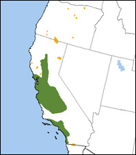 Tricolored Blackbird map, NatureServe