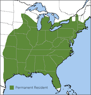 Tufted Titmouse range map