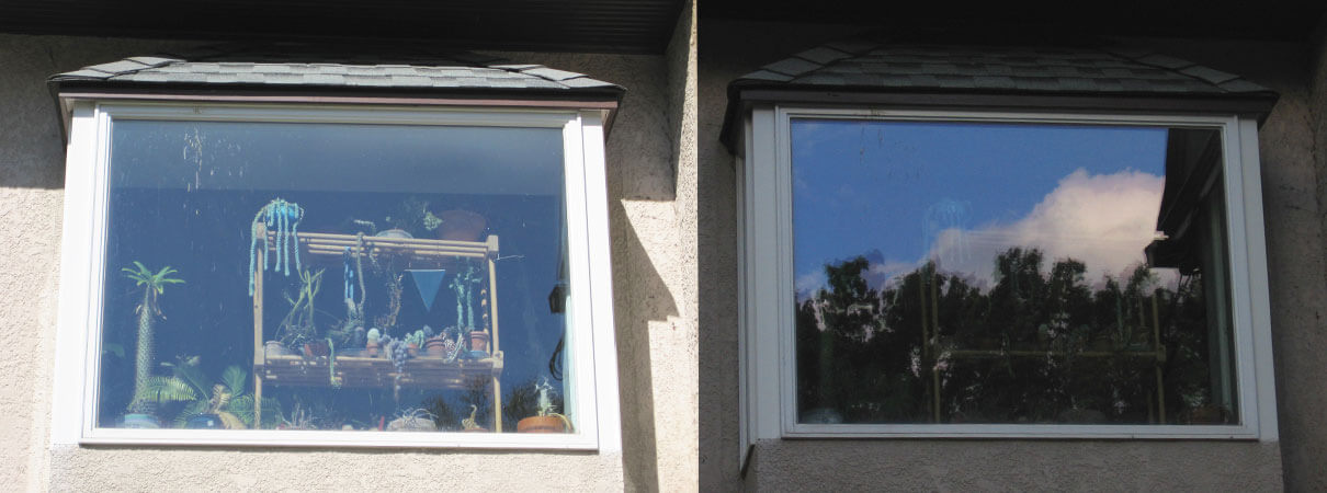 The intensity of window reflections vary during the course of the day, directly impacting the danger to birds. Photo by Christine Sheppard