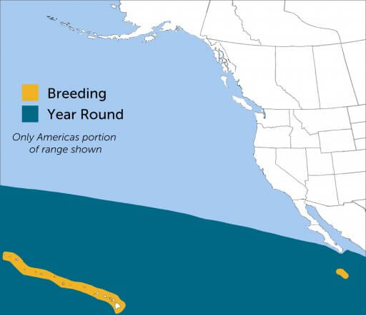 Wedge-tailed Shearwater range map by ABC