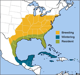 White-eyed Vireo range map by ABC