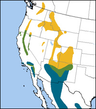 Williamson's Sapsucker map, NatureServe